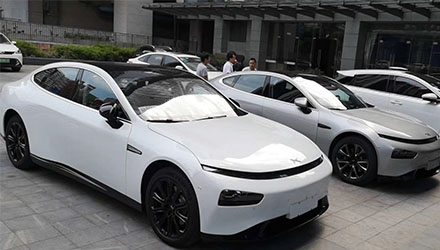 z6com������(�й�)�ٷ���վ