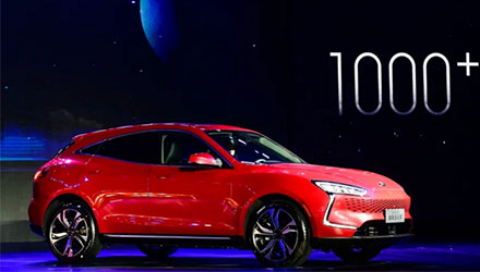 z6com������(�й�)�ٷ���վ