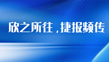 z6com������(�й�)�ٷ���վ
