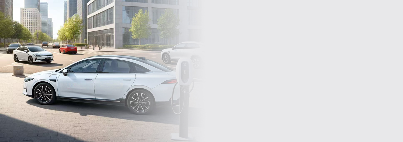 z6com������(�й�)�ٷ���վ