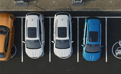 z6com������(�й�)�ٷ���վ