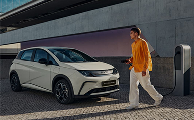 z6com������(�й�)�ٷ���վ