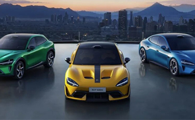 z6com������(�й�)�ٷ���վ